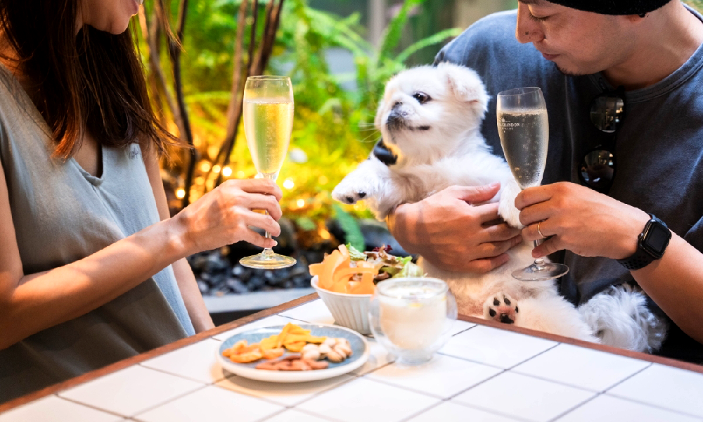 大型犬はテラス席OK